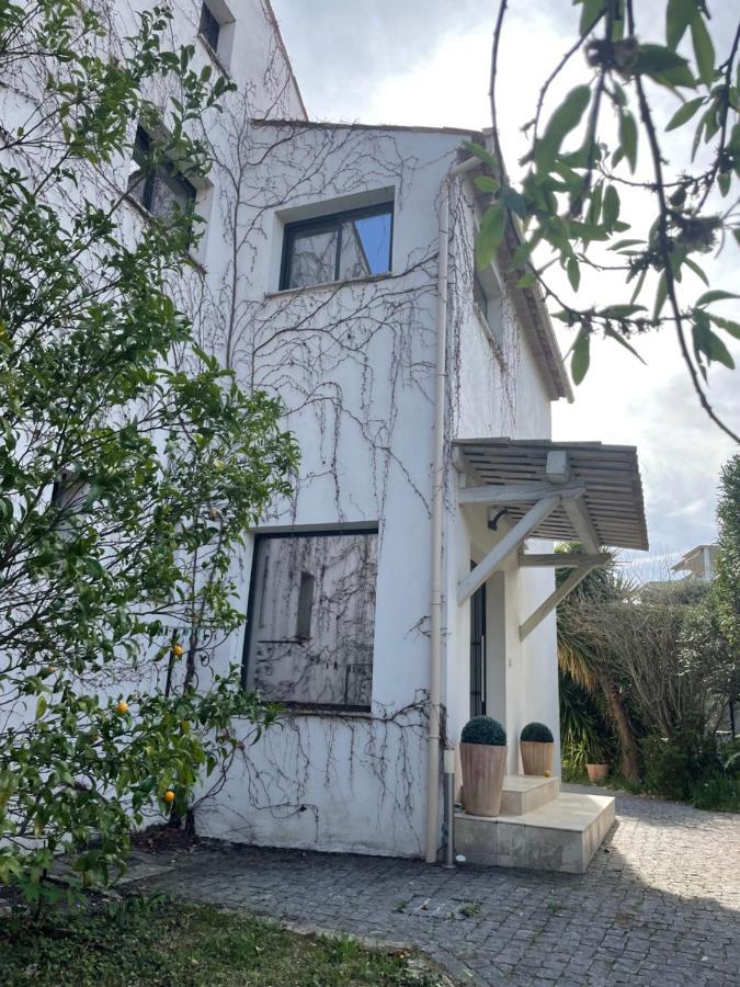 Sublime Haut De Villa Apercu Mer /Hippodrome / Cagnes-sur-Mer Exterior photo